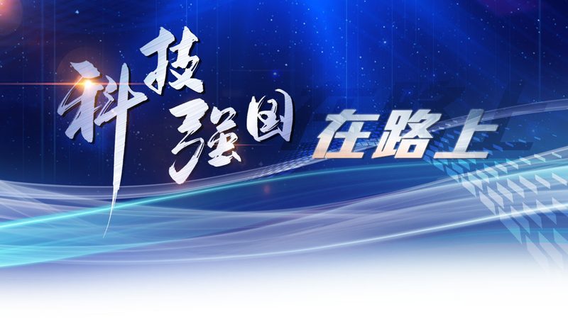 软件测试流程模板：构建高效测试体系的秘籍